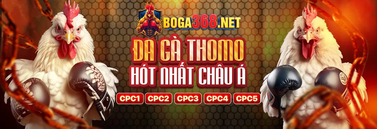 Sân đấu đá gà trực tuyến sống động tại 88xx link mới